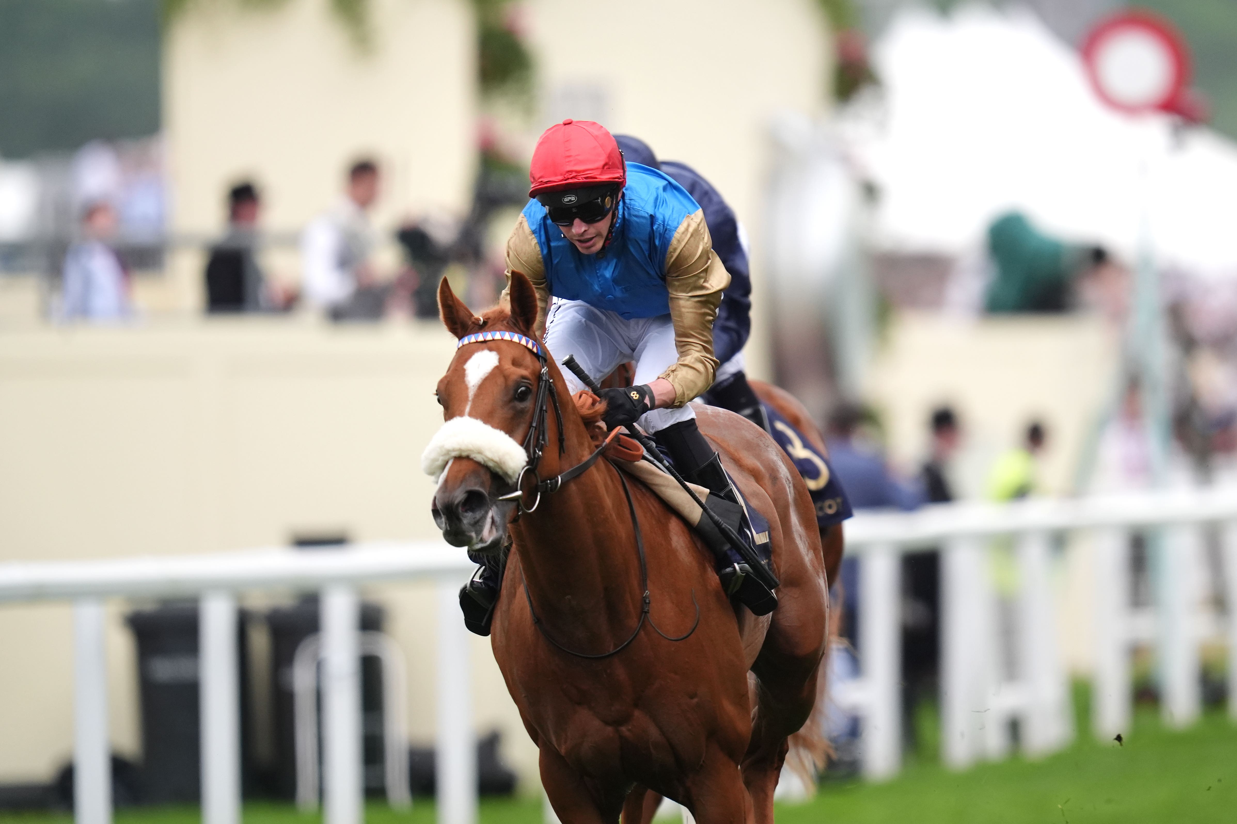 Humidity winning the Chesham Stakes at Royal Ascot